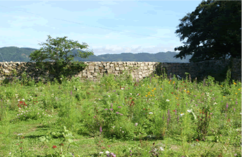 ■ 岡山県岡山市犬島・I邸