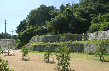■ 岡山県岡山市犬島・S邸